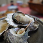 汐浜 - 栄螺、牡蠣