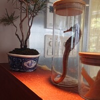 中國菜 奈良町 枸杞 - 