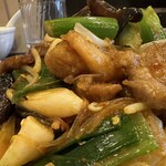 鉄板中華・担々麺 究 Kiwa - 