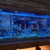 アクアリウムダイニング 新宿ライム