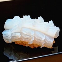 恵比寿 鮨 ふじまさ - 