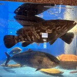 せいもん払い - 