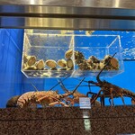 せいもん払い - 