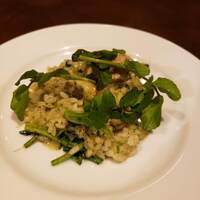 オッジ ダルマット 西麻布店 - 