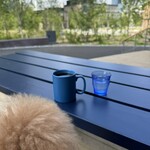 BLUE SIX COFFEE - 良い天気♪