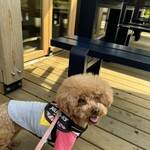 BLUE SIX COFFEE - ちょっと暑かったみたいｗ