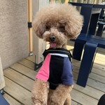 BLUE SIX COFFEE - テラス席で