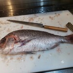 YOURS DINING IKEBUKURO - 真鯛