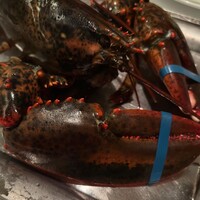 ウルフギャング・ステーキハウス 福岡店 - 