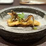 イル アオヤマ - 