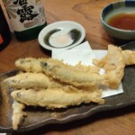酒菜家 - 稚鮎とみょうがの天ぷら