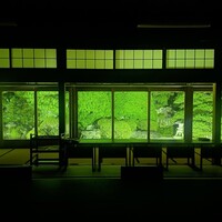 日本料理 新茶家 - 