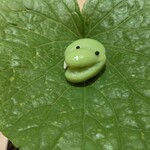 まき村 - 枝前の蛙