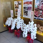 瀬戸内味覚処 芸州 本店 - 店頭 お花 店内にも多数ありました
