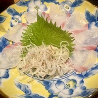 銀座 遠音近音 -  銀座 遠音近音 -