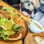 フォレスト ヴェール - 