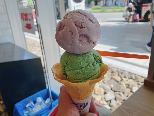 BLUE SEAL Higashi Okazaki Eki Ten