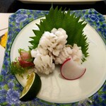 松葉寿司 - 鱧の湯引き