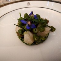 SALONE TOKYO - 