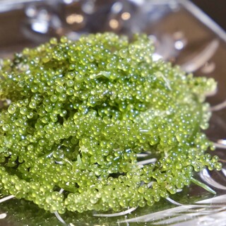 琉球ダイニング桃香_1