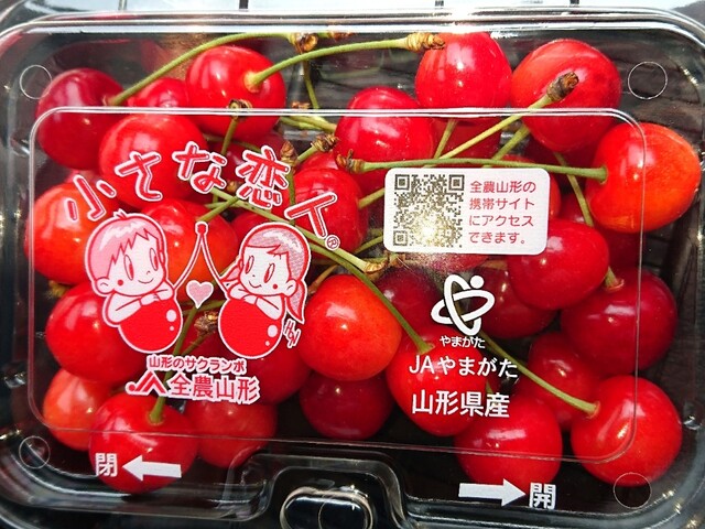 イタガキ&times;ジェラテリア ラ フェスタ 三井アウトレットパーク仙台港店（ITAGAKI &times; GELATERIA LA FESTA） - 中野栄（ジューススタンド）の写真