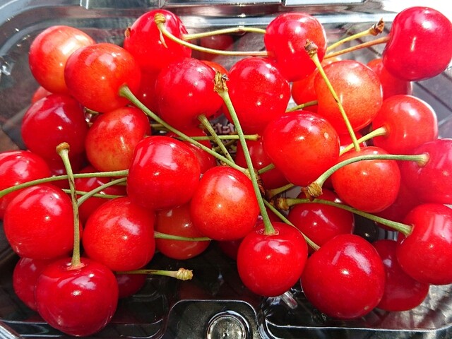 イタガキ&times;ジェラテリア ラ フェスタ 三井アウトレットパーク仙台港店（ITAGAKI &times; GELATERIA LA FESTA） - 中野栄（ジューススタンド）の写真