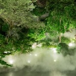 菊水楼 うな菊 - 