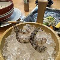 割烹 川田 - 