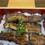 味亭花の家 - ワシの上鰻重