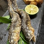 割烹 藪下 - 