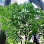 東京ビアホール&ビアテラス14 - 