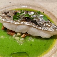 マンサルヴァ - 