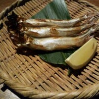 ダイナミックキッチン＆バー 響  新宿サザンタワー店 - 