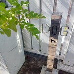 Ron Herman cafe - リードフックまでおしゃん！