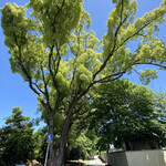 丸太町十二段家 - 