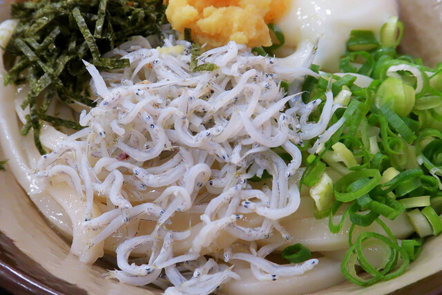 さぬきうどん職人 めりけんや 江坂店 - 江坂/うどん | 食べログ