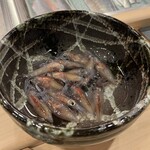 鮨 大門 - 生きているホタルイカ初めて見たかも。ᔦꙬᔨ三ᔦꙬᔨ