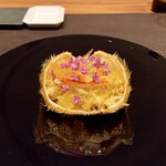 イル アオヤマ - 