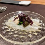 イル アオヤマ - 