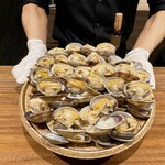 イル アオヤマ - 