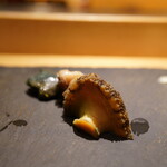 まんてん鮨 - あわび