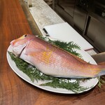 スガラボヴィー - 