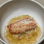 スガラボヴィー - 