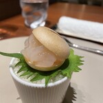 スガラボヴィー - 