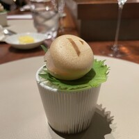 スガラボヴィー - 