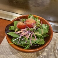 新橋 鉄板焼 ぷらちな FISH&MEAT - 