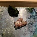 鮨処 たか - しゃこ