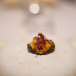 レミニセンス - 