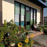 セラヴィ - お花が一杯。店主さんのお人柄が伺えます