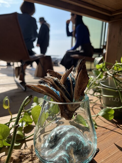 The park 956 （ザ パーク キューゴーロク） - 比良/カフェ | 食べログ